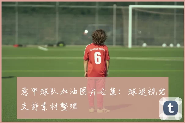 意甲球队加油图片合集：球迷视觉支持素材整理