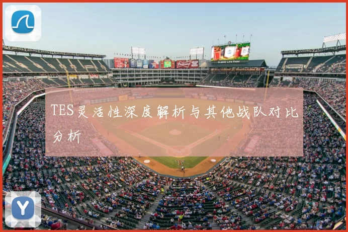 TES灵活性深度解析与其他战队对比分析