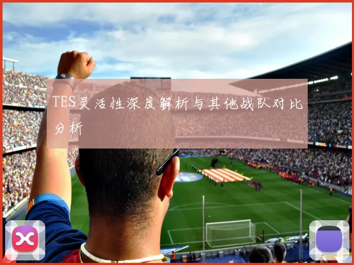 TES灵活性深度解析与其他战队对比分析