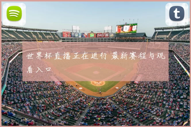 世界杯直播正在进行 最新赛程与观看入口