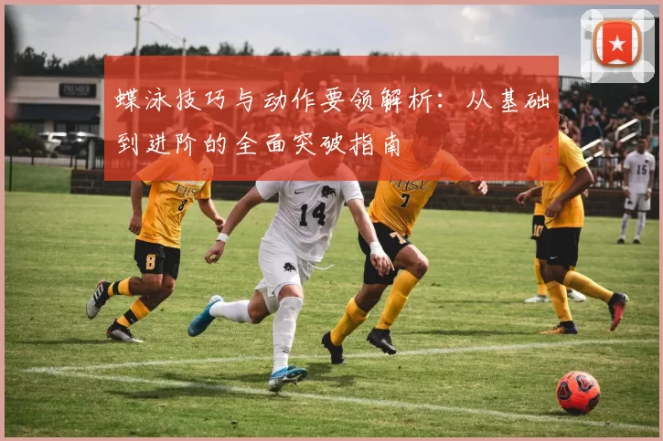 蝶泳技巧与动作要领解析：从基础到进阶的全面突破指南