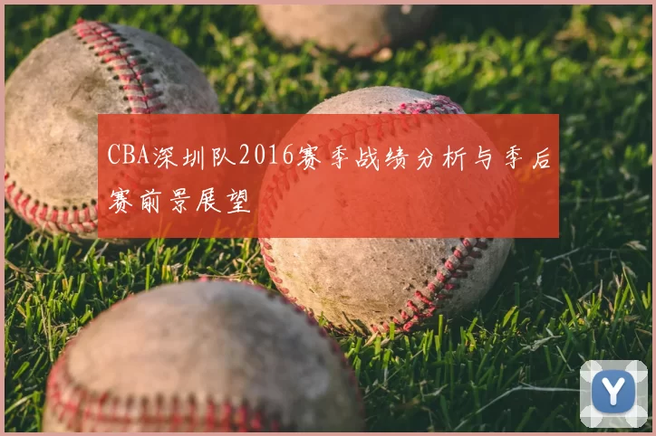 CBA深圳队2016赛季战绩分析与季后赛前景展望