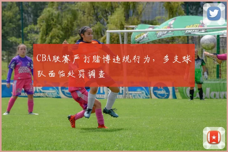 CBA联赛严打赌博违规行为，多支球队面临处罚调查