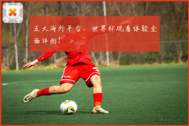 五大海外平台，世界杯观看体验全面评测！