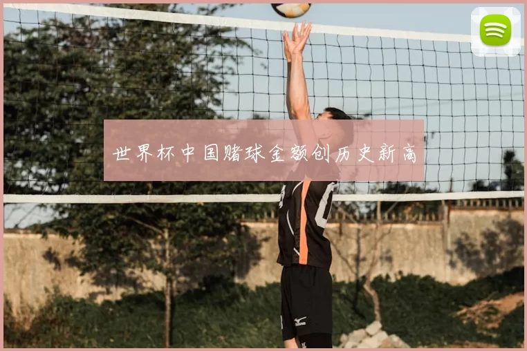 世界杯中国赌球金额创历史新高
