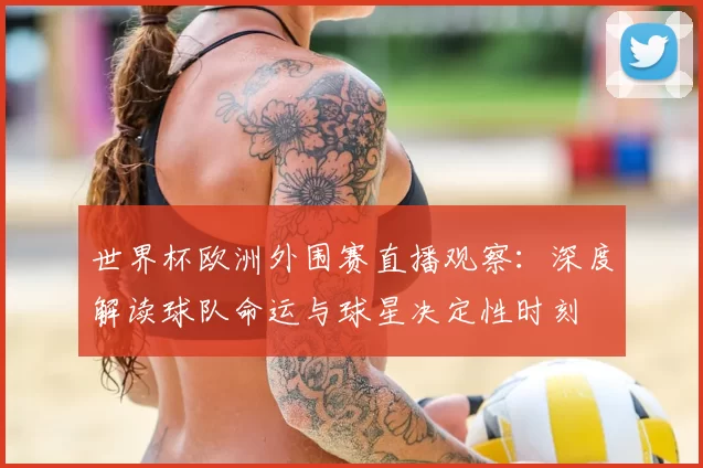 世界杯欧洲外围赛直播观察：深度解读球队命运与球星决定性时刻