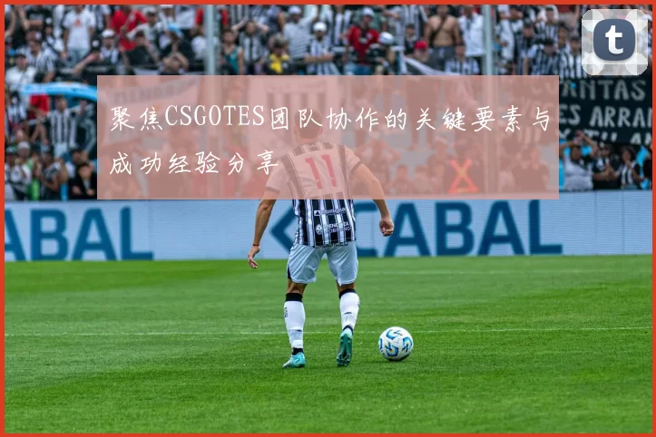 聚焦CSGOTES团队协作的关键要素与成功经验分享