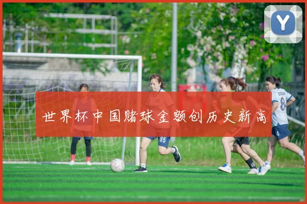 世界杯中国赌球金额创历史新高