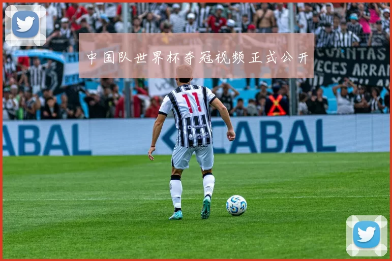 中国队世界杯夺冠视频正式公开
