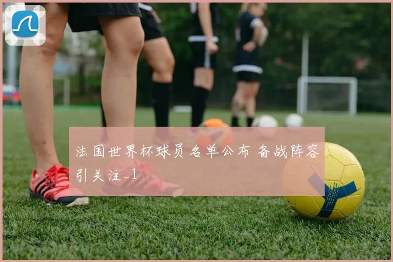 法国世界杯球员名单公布 备战阵容引关注_1